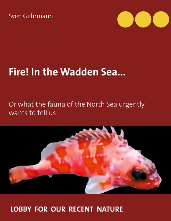 Produktbild: Fire! In the Wadden Sea...