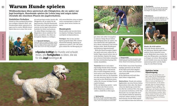 Produktbild: Hundeerziehung ganz einfach