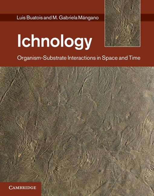 Produktbild: Ichnology