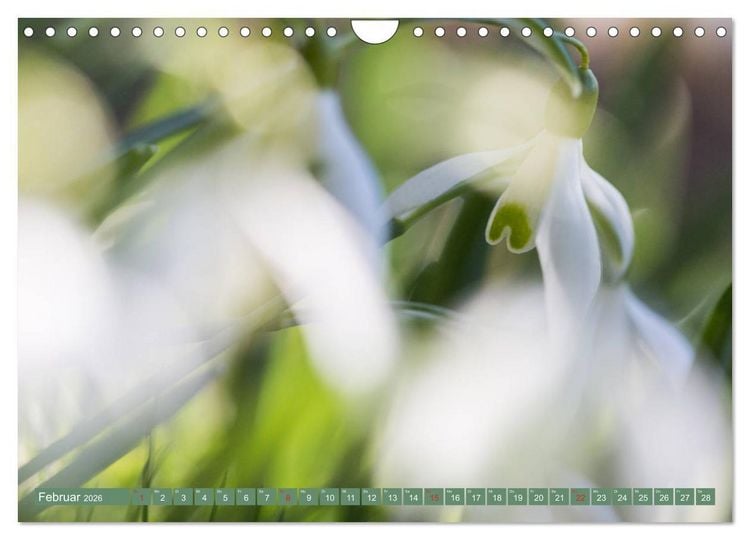 Produktbild: Die Natur hautnah (Wandkalender 2026 DIN A4 quer), CALVENDO Monatskalender