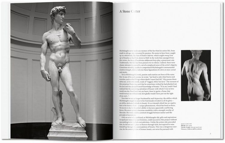 Produktbild: Michelangelo