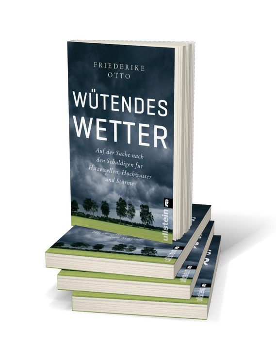 Produktbild: Wütendes Wetter