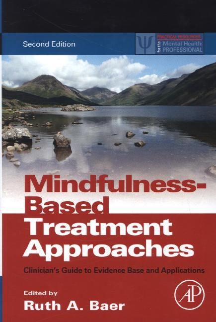 Produktbild: Mindfulness-Based Treatment Approaches