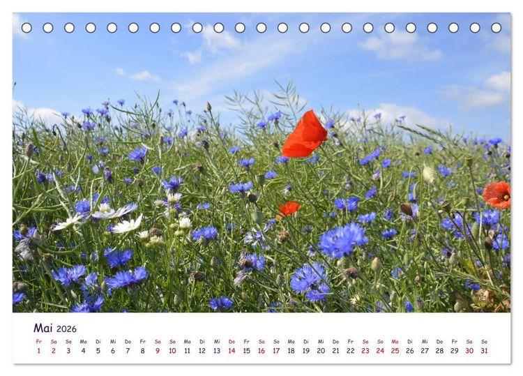 Produktbild: Natur und Landschaft Mecklenburg - Vorpommern 2026 (Tischkalender 2026 DIN A5 quer), CALVENDO Monatskalender