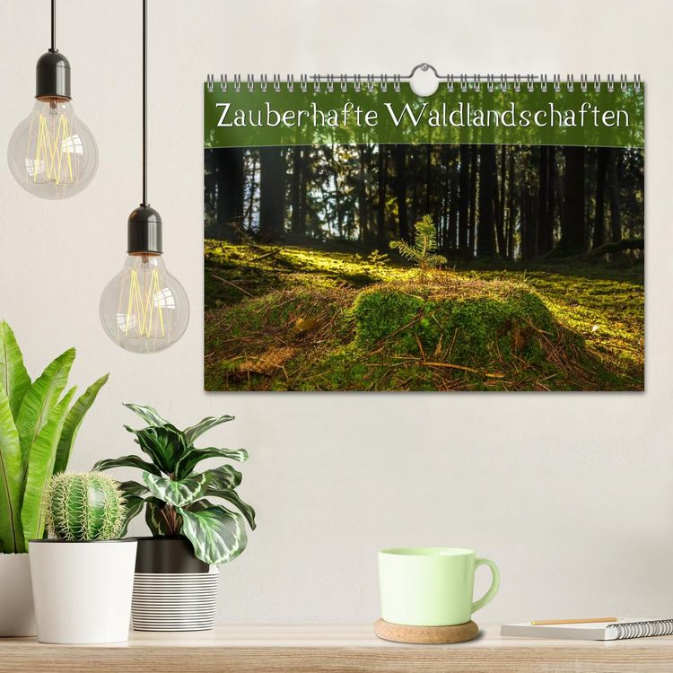 Produktbild: Zauberhafte Waldlandschaften (Wandkalender 2026 DIN A4 quer), CALVENDO Monatskalender