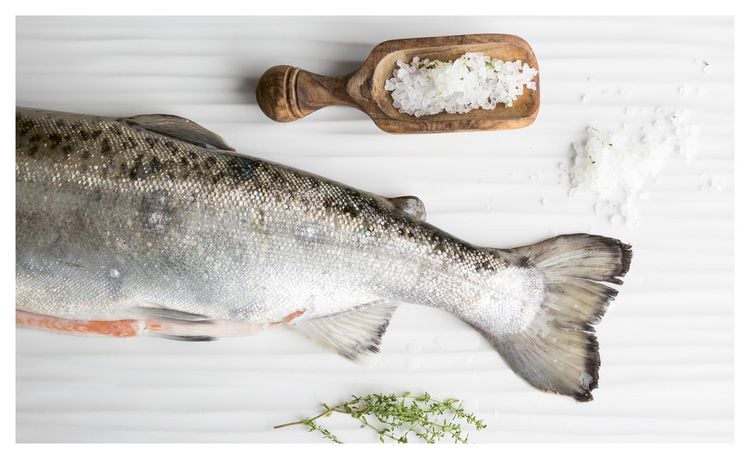 Produktbild: Fisch echt einfach