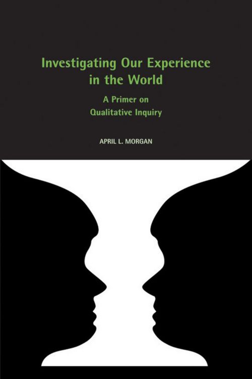 Produktbild: Investigating Our Experience in the World