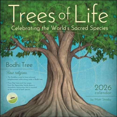 Produktbild: Trees of Life 2026 Wall Calendar