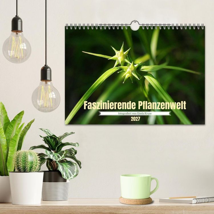 Produktbild: Faszinierende Pflanzenwelt (Wandkalender 2027 DIN A4 quer), CALVENDO Monatskalender