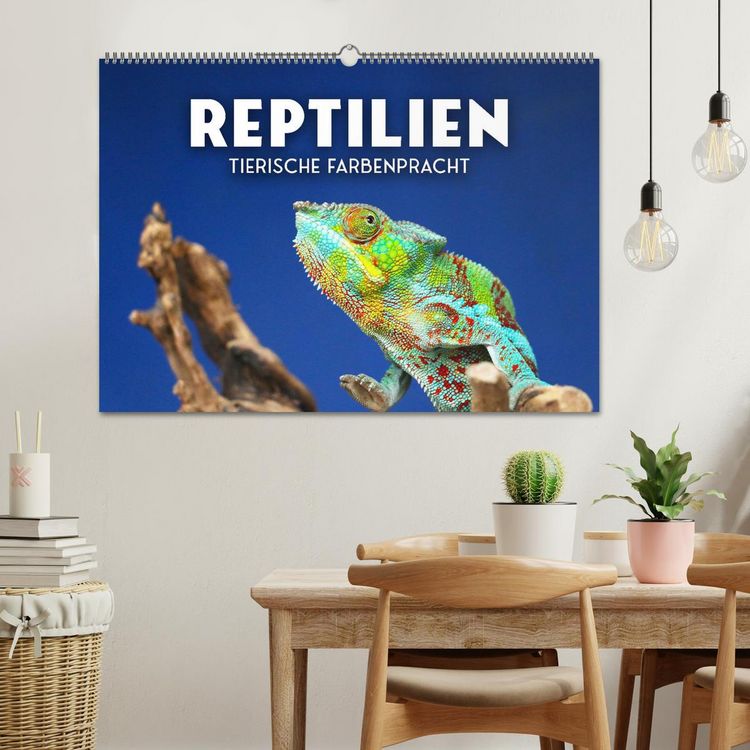 Produktbild: Reptilien - Tierische Farbenpracht (Wandkalender 2026 DIN A2 quer), CALVENDO Monatskalender