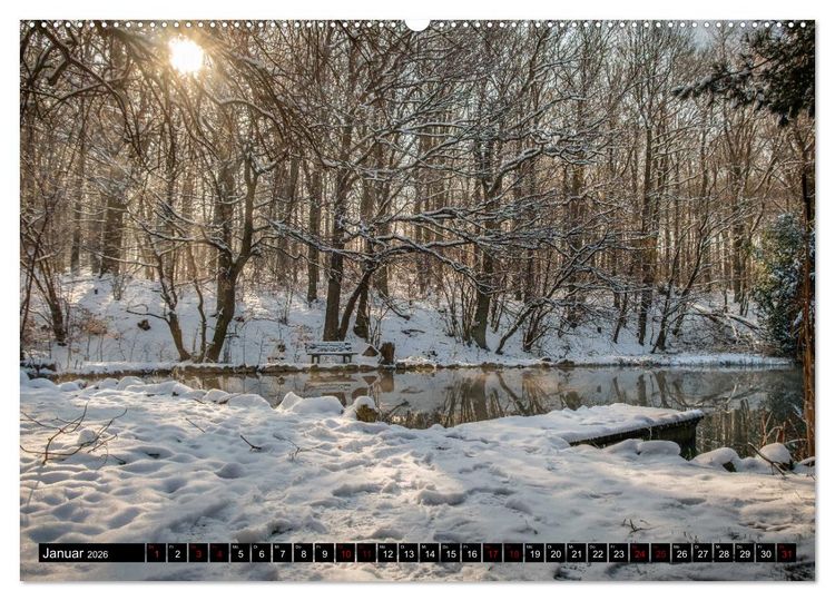 Produktbild: Wege des einfachen Gl&uuml;cks - Spazierg&auml;nge im Wald (Wandkalender 2026 DIN A2 quer), CALVENDO Monatskalender
