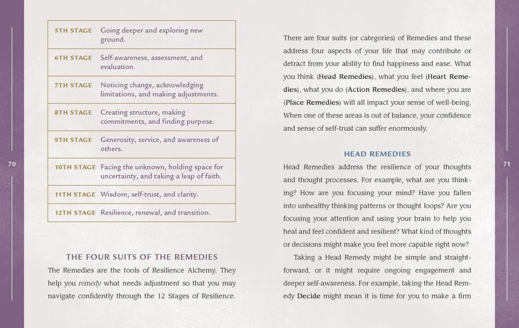 Produktbild: Resilience Alchemy