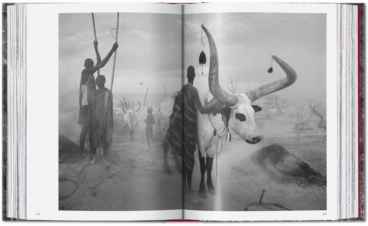 Produktbild: Sebasti&atilde;o Salgado
