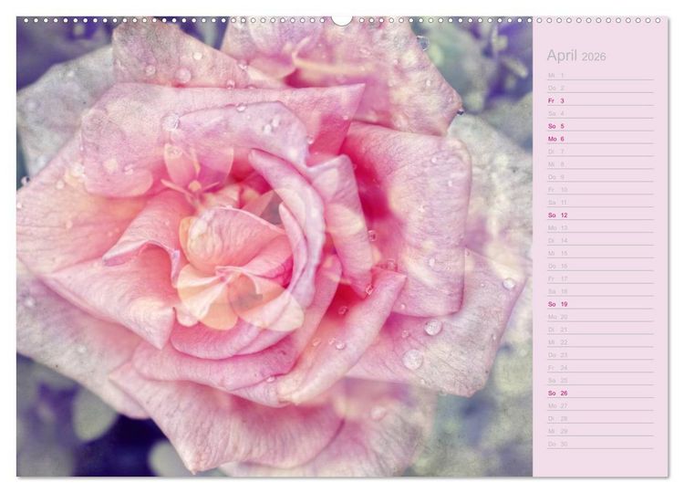 Produktbild: Romantische Rosen (hochwertiger Premium Wandkalender 2026 DIN A2 quer), Kunstdruck in Hochglanz