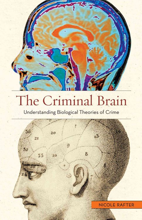Produktbild: Criminal Brain