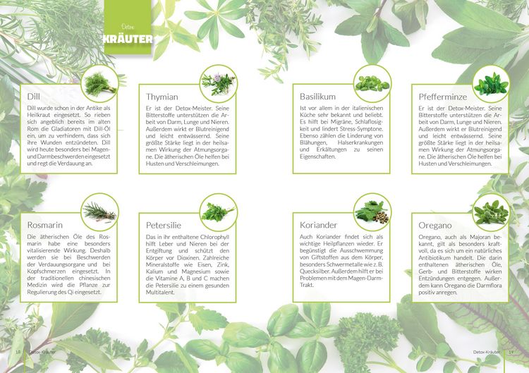 Produktbild: Detox Di&auml;tplan - Ern&auml;hrungsplan zum Abnehmen f&uuml;r 30 Tage