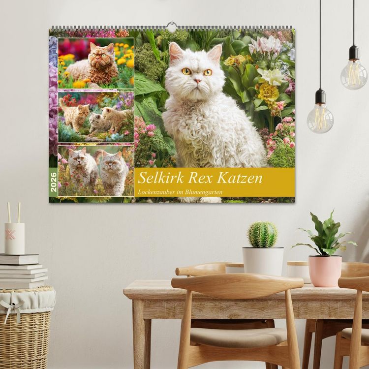 Produktbild: Selkirk Rex Katzen. Lockenzauber im Blumengarten (Wandkalender 2026 DIN A2 quer), CALVENDO Monatskalender