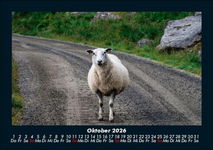 Produktbild: Tierkalender 2026 Fotokalender DIN A5
