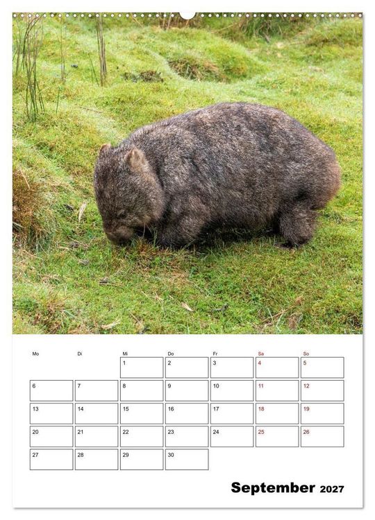 Produktbild: Australiens faszinierende Tierwelt (Wandkalender 2027 DIN A2 hoch), CALVENDO Monatskalender