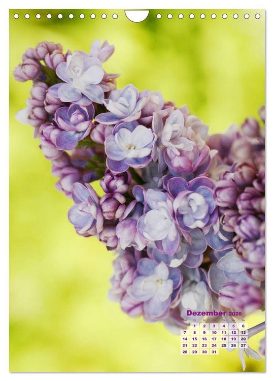 Produktbild: Fliederbl&uuml;te (Wandkalender 2026 DIN A4 hoch), CALVENDO Monatskalender