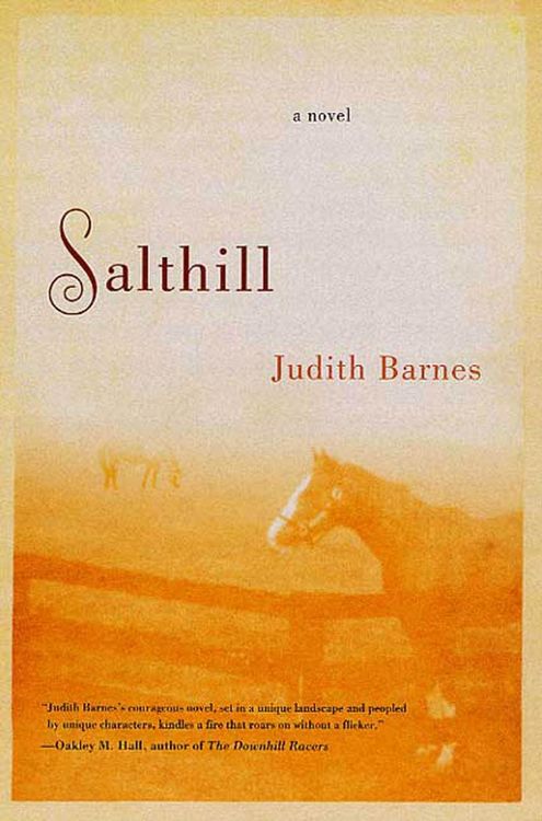 Produktbild: Salthill