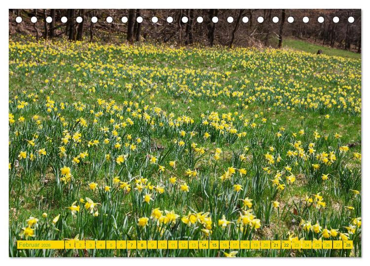 Produktbild: Eifel Sehnsucht (Tischkalender 2026 DIN A5 quer), CALVENDO Monatskalender