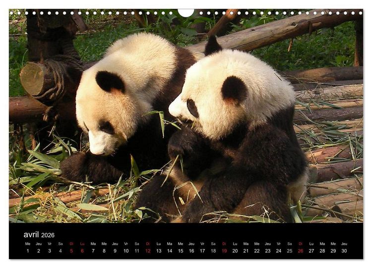 Produktbild: La Chine, Terre de merveilles (Calendrier mural 2026 DIN A3 vertical), CALVENDO calendrier mensuel