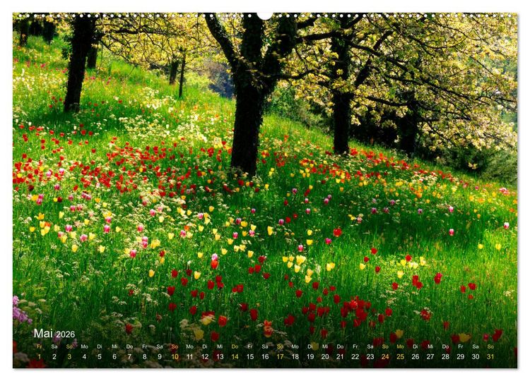 Produktbild: Traum Momente (Wandkalender 2026 DIN A2 quer), CALVENDO Monatskalender