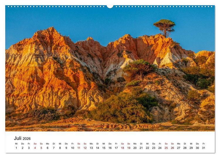 Produktbild: B&auml;ume - Wunder der Natur (hochwertiger Premium Wandkalender 2026 DIN A2 quer), Kunstdruck in Hochglanz