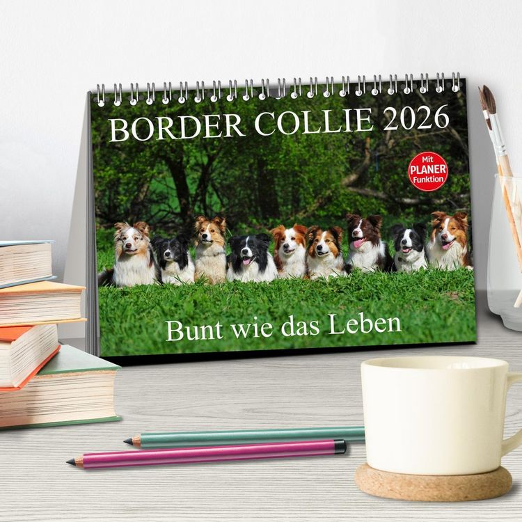 Produktbild: Border Collie 2026 (Tischkalender 2026 DIN A5 quer), CALVENDO Monatskalender