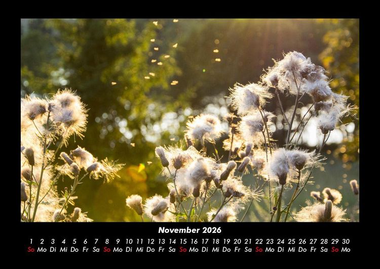 Produktbild: Bilder aus der Natur 2026 Fotokalender DIN A3