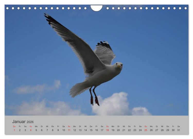 Produktbild: Impressionen von Texel (Wandkalender 2026 DIN A4 quer), CALVENDO Monatskalender