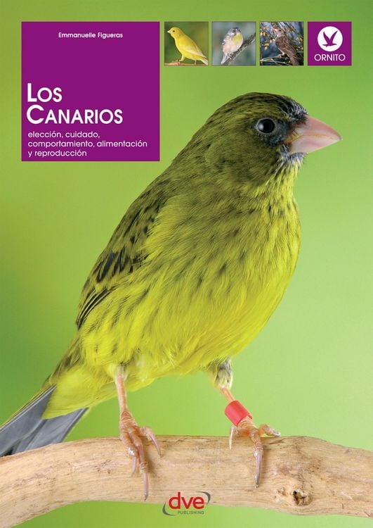 Produktbild: Los canarios. Elecci&oacute;n, cuidado, comportamiento, alimentaci&oacute;n y reproducci&oacute;n