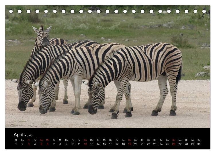 Produktbild: W&uuml;stenzauber Namibia (Tischkalender 2026 DIN A5 quer), CALVENDO Monatskalender