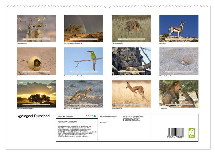 Produktbild: Kgalagadi-Durstland (hochwertiger Premium Wandkalender 2026 DIN A2 quer), Kunstdruck in Hochglanz
