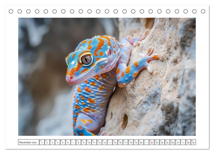 Produktbild: Kleine Echsen haben Spass (Tischkalender 2026 DIN A5 quer), CALVENDO Monatskalender