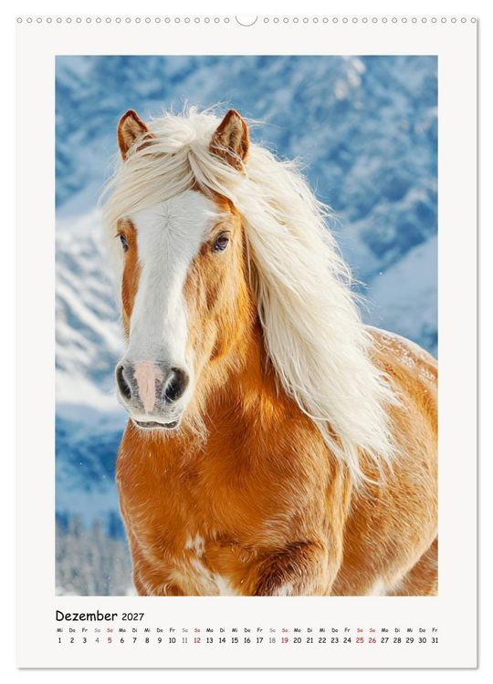 Produktbild: Berge und M&auml;hnen. Haflinger zwischen Alm, Sonne und Freiheit (hochwertiger Premium Wandkalender 2027 DIN A2 hoch), Kunstdruck in Hochglanz