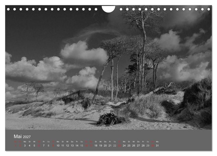 Produktbild: Ostsee - von schwarz bis wei&szlig; (Wandkalender 2027 DIN A4 quer), CALVENDO Monatskalender