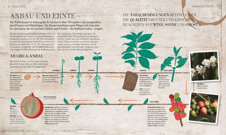Produktbild: Das Kaffee-Buch