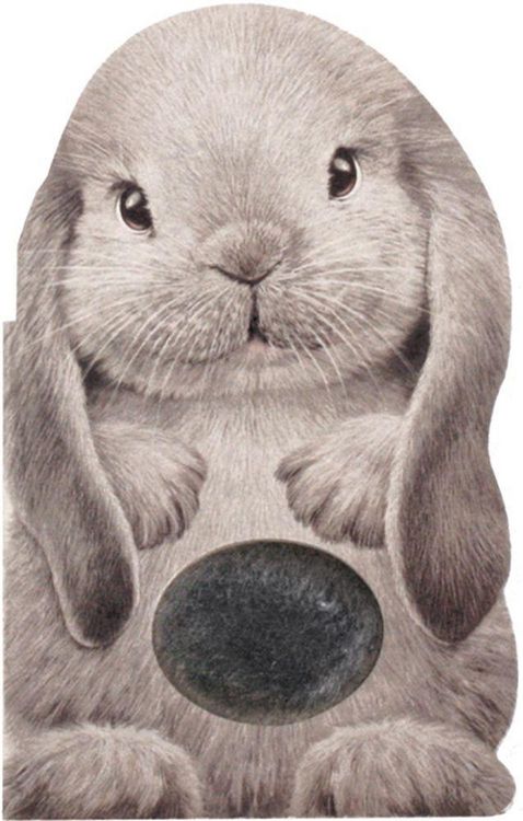 Produktbild: Furry Bunny