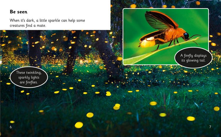 Produktbild: Animal Tricks: Glow in the Dark