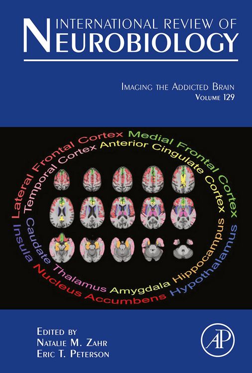 Produktbild: Imaging the Addicted Brain