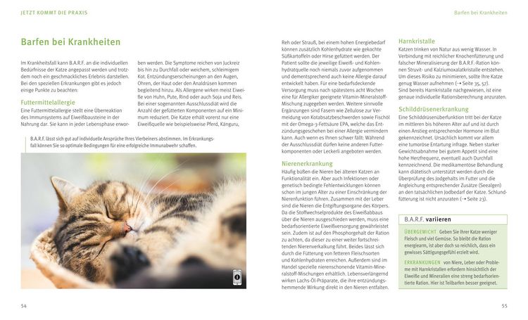 Produktbild: BARF f&uuml;r Katzen