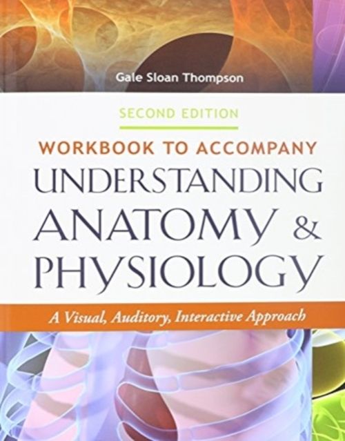 Produktbild: Pkg Understanding Ap 2e Wkbk Understandi