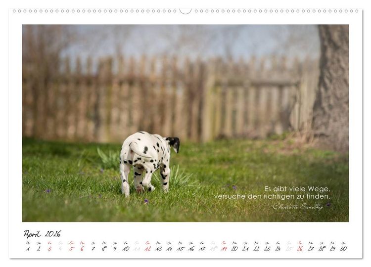 Produktbild: Mit guten Gedanken durch das Jahr (hochwertiger Premium Wandkalender 2026 DIN A2 quer), Kunstdruck in Hochglanz