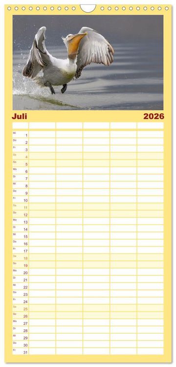 Produktbild: Familienplaner 2026 - Krauskopfpelikane mit 5 Spalten (Wandkalender, 21 x 45 cm) CALVENDO