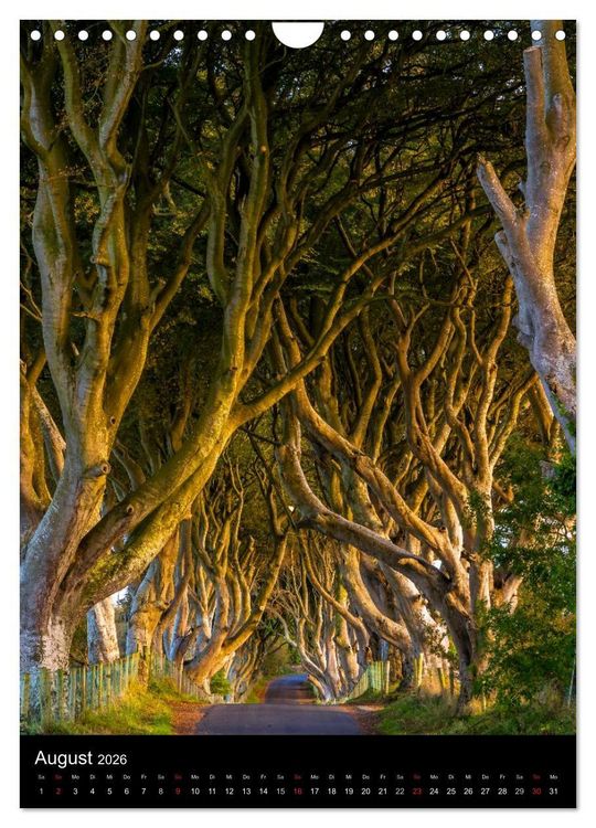 Produktbild: Irland entdecken (Wandkalender 2026 DIN A4 hoch), CALVENDO Monatskalender