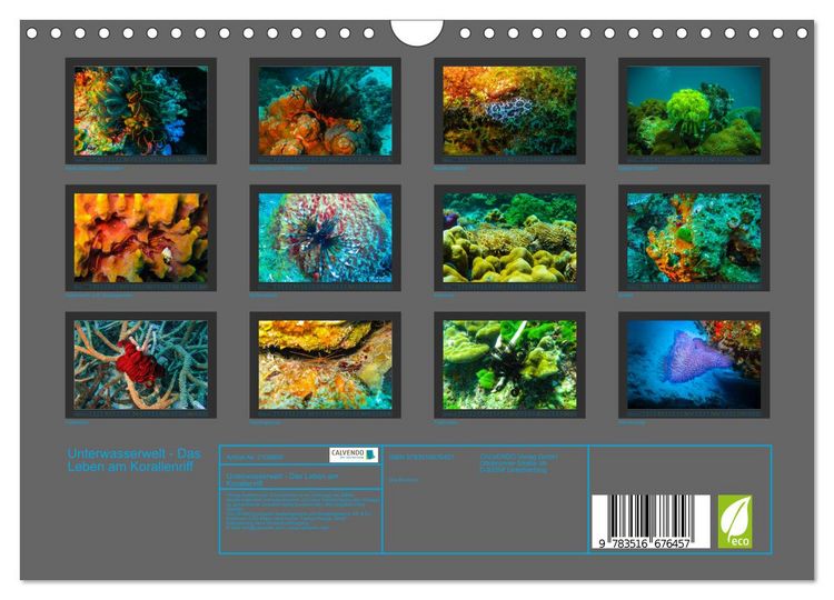 Produktbild: Unterwasserwelt - Das Leben am Korallenriff (Wandkalender 2026 DIN A4 quer), CALVENDO Monatskalender