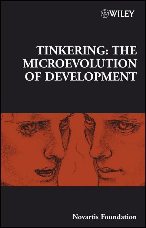 Produktbild: Tinkering