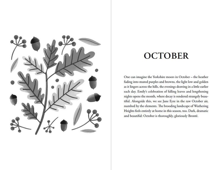 Produktbild: The Bront&euml;s for Every Day of the Year